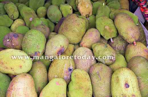 Jackfruit 